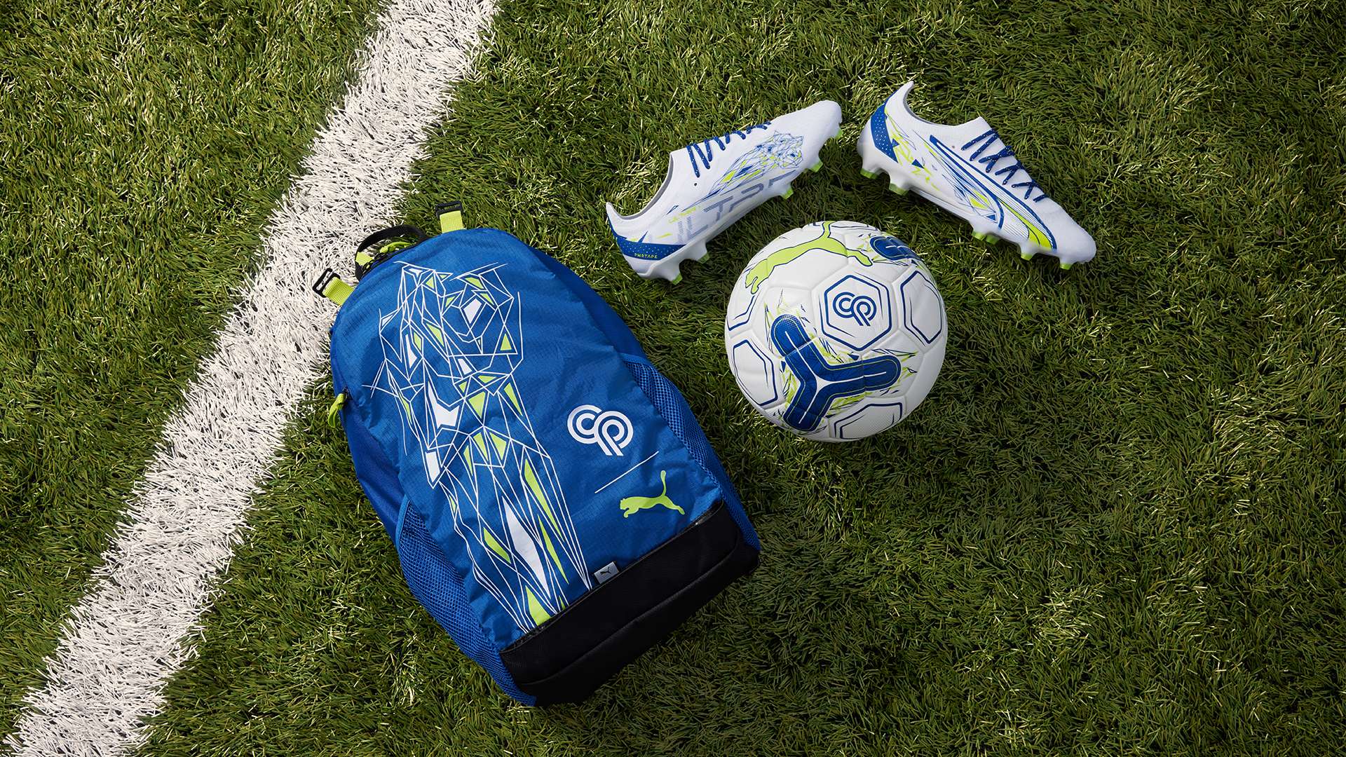 他似乎遭遇 他似乎遭遇